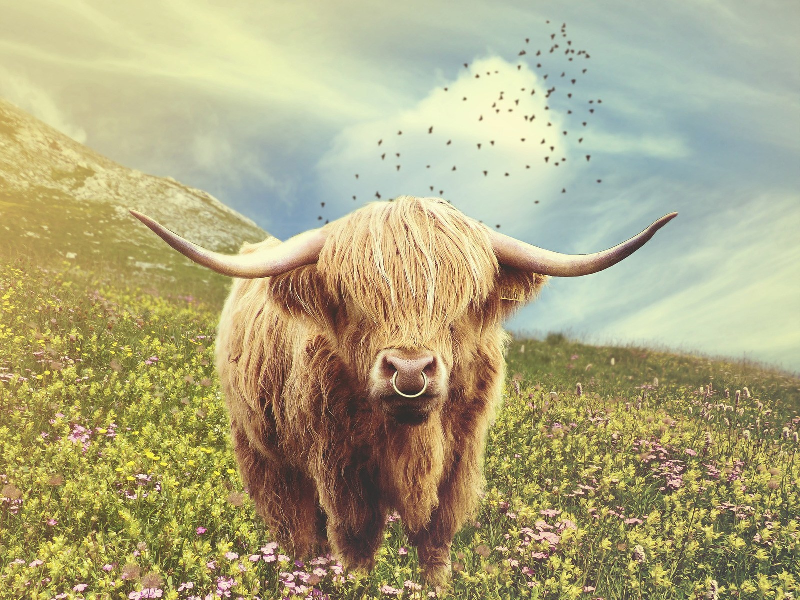 CelticZodiacSignBullCow