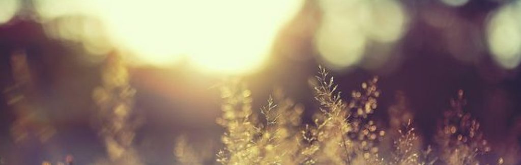 Ritual, Retreat, Coven and Wheel Schedule Ireland&nbsp;2024