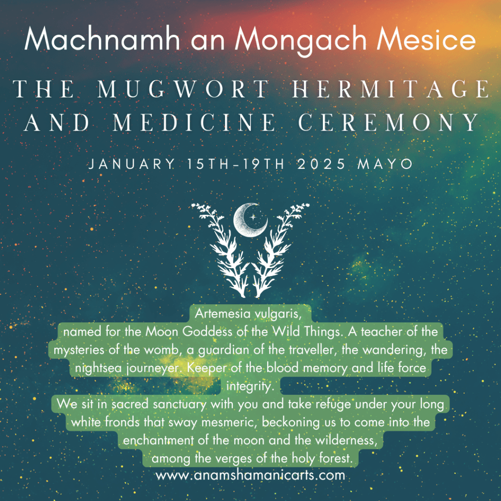 The Mugwort Hermitage January 15th-19th&nbsp;Mayo