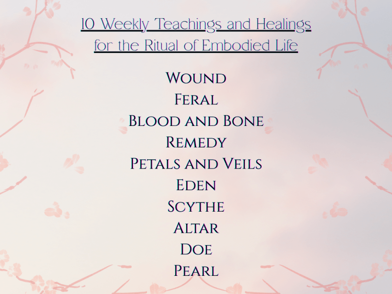 In Beauty- Online 10 Weeks Start November&nbsp;20th