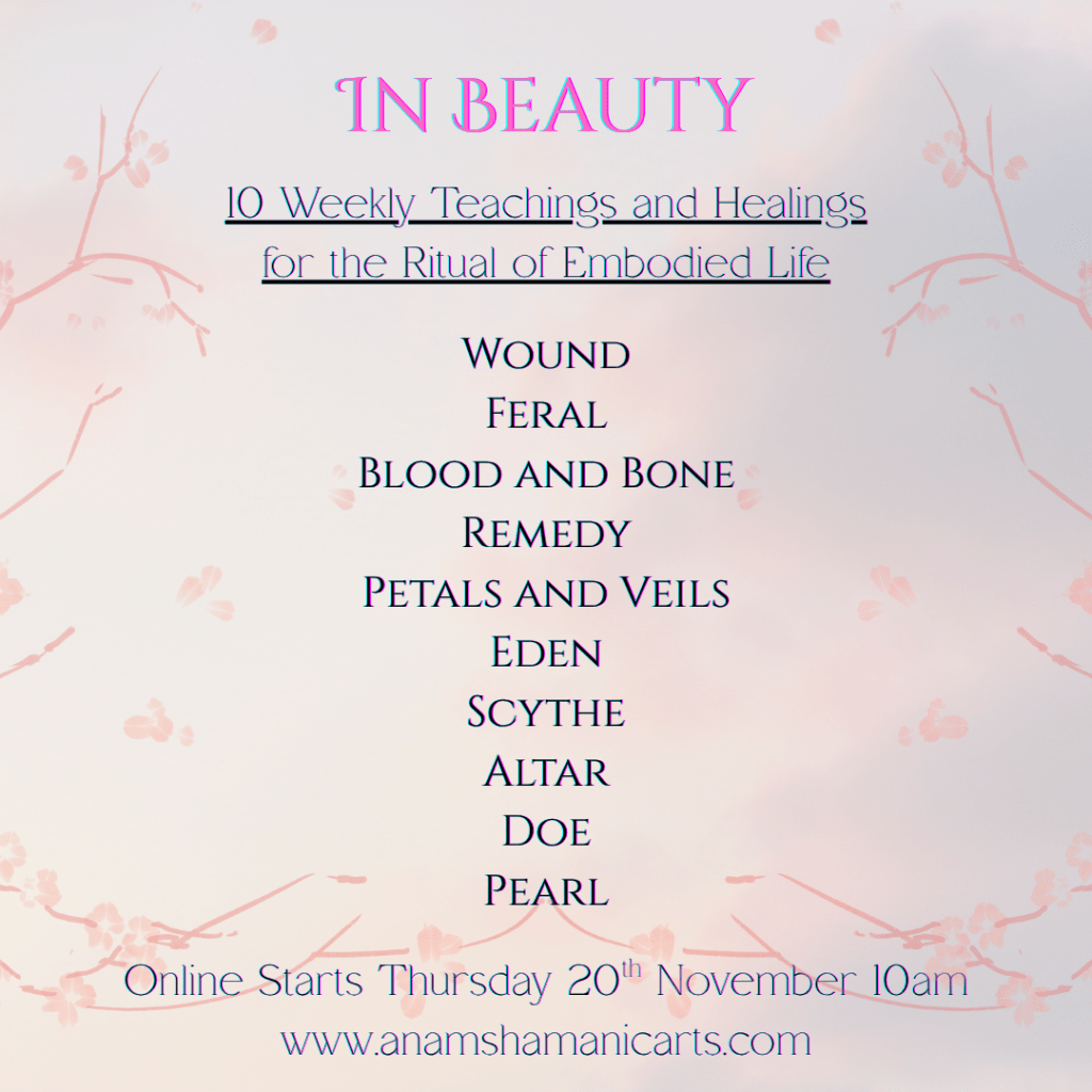 In Beauty- Online 10 Weeks Start November&nbsp;20th